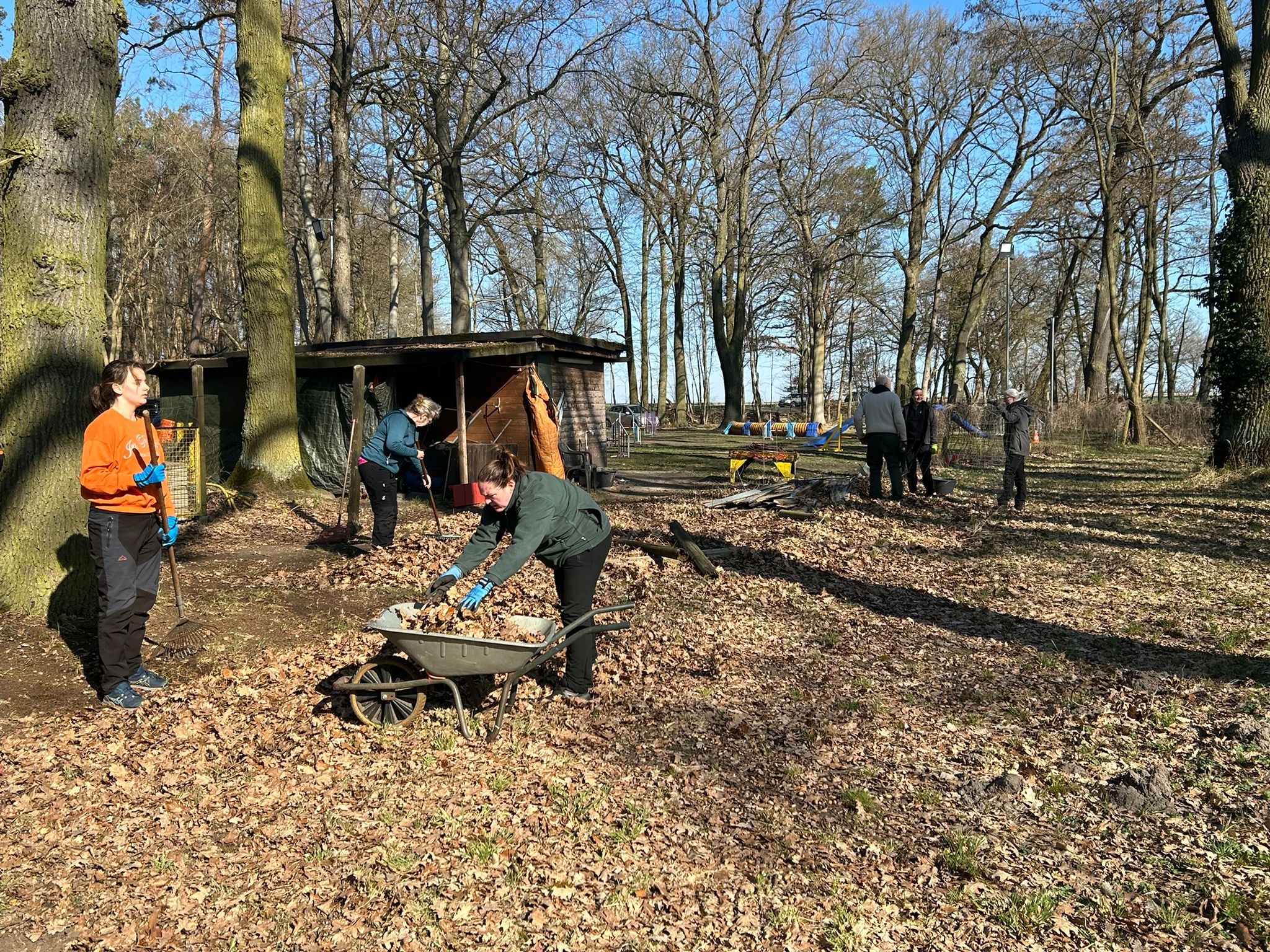 Arbeitseinsätze Bild 19